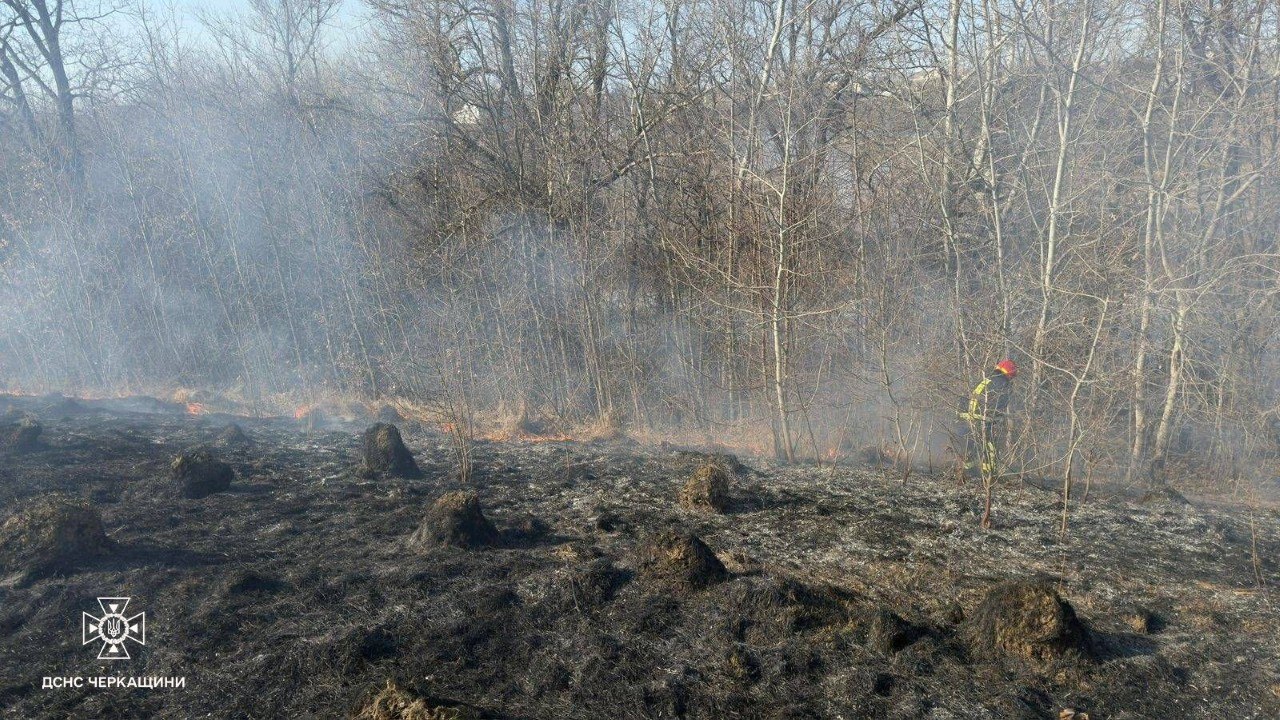 На Черкащині горів очерет і суха трава - фото 3