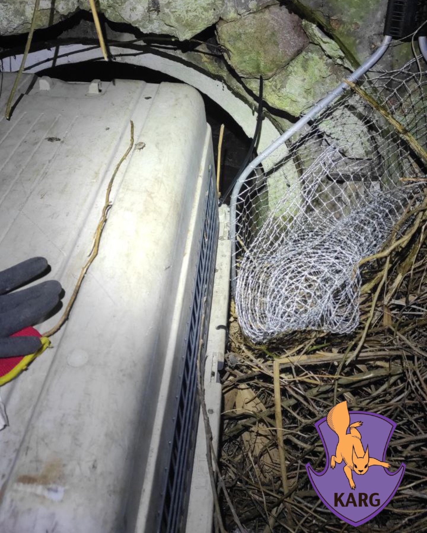 Історія небайдужості: під Києвом врятували пораненого борсука