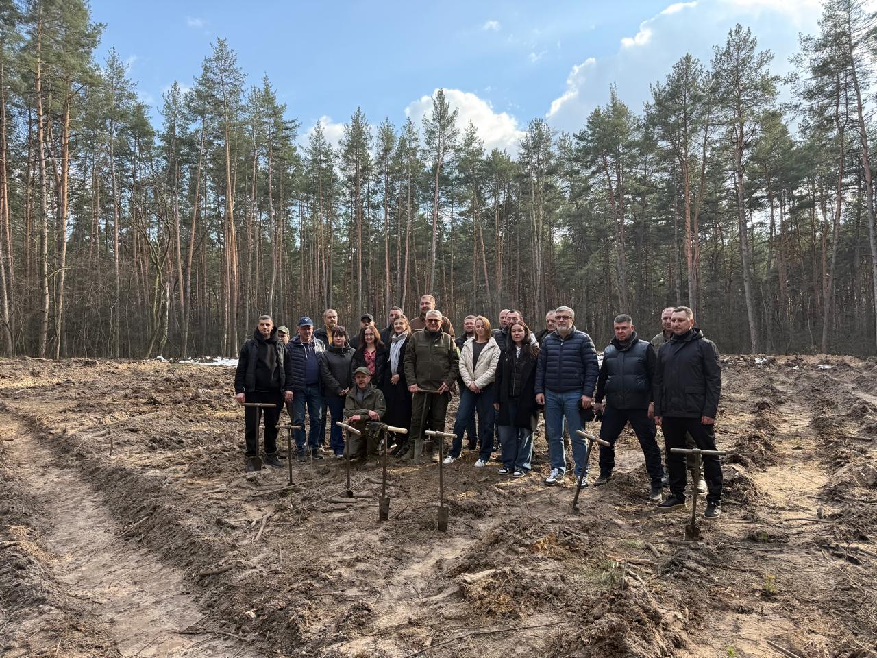У Києві відновлюють ліс після ракетного удару: висадили 3 тисячі дерев - фото 3