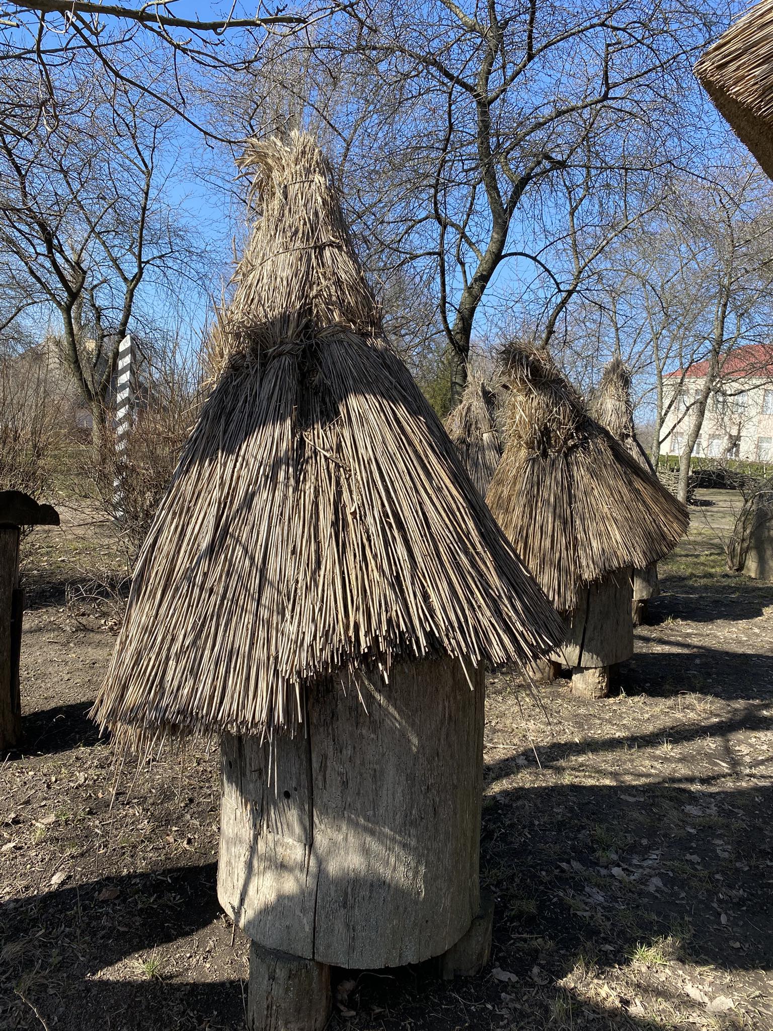 Хата Тараса Шевченка в Моринцях. Опублікували фото із Національного заповідника у Черкаській області - фото 2