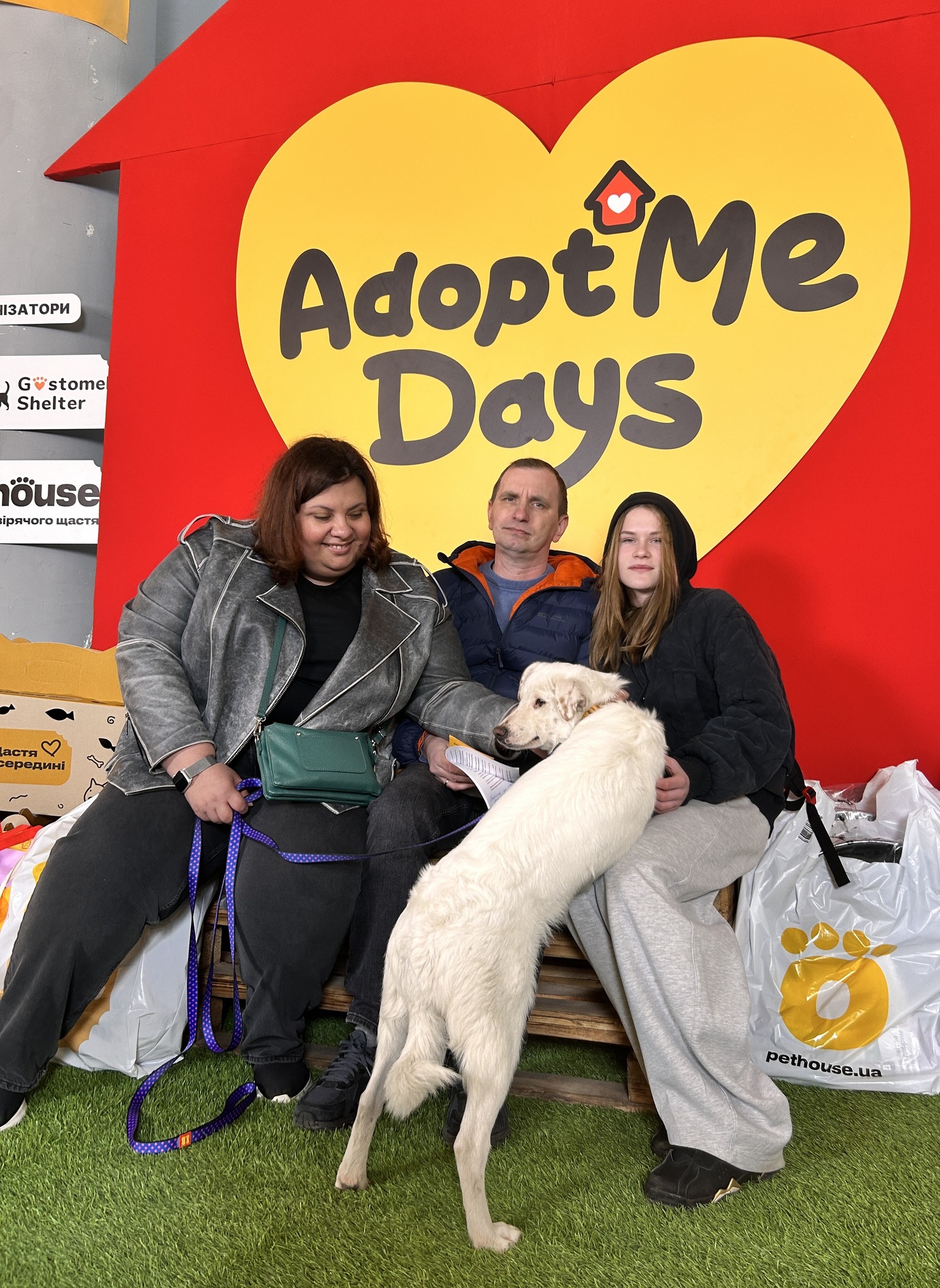 Майже півтори сотні безхатніх тварин знайшли петбатьків на фестивалі у Києві - фото 8