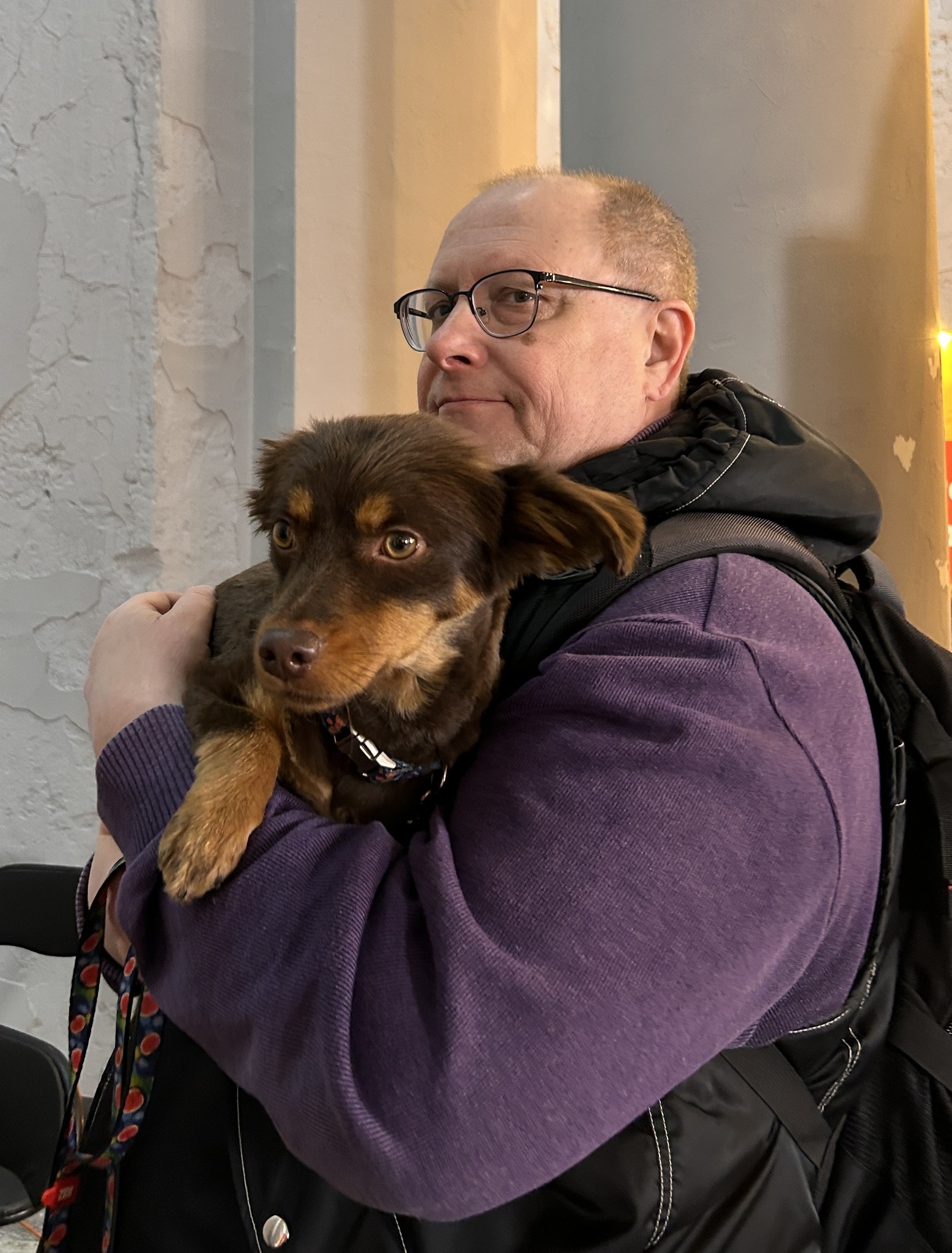 Майже півтори сотні безхатніх тварин знайшли петбатьків на фестивалі у Києві - фото 5