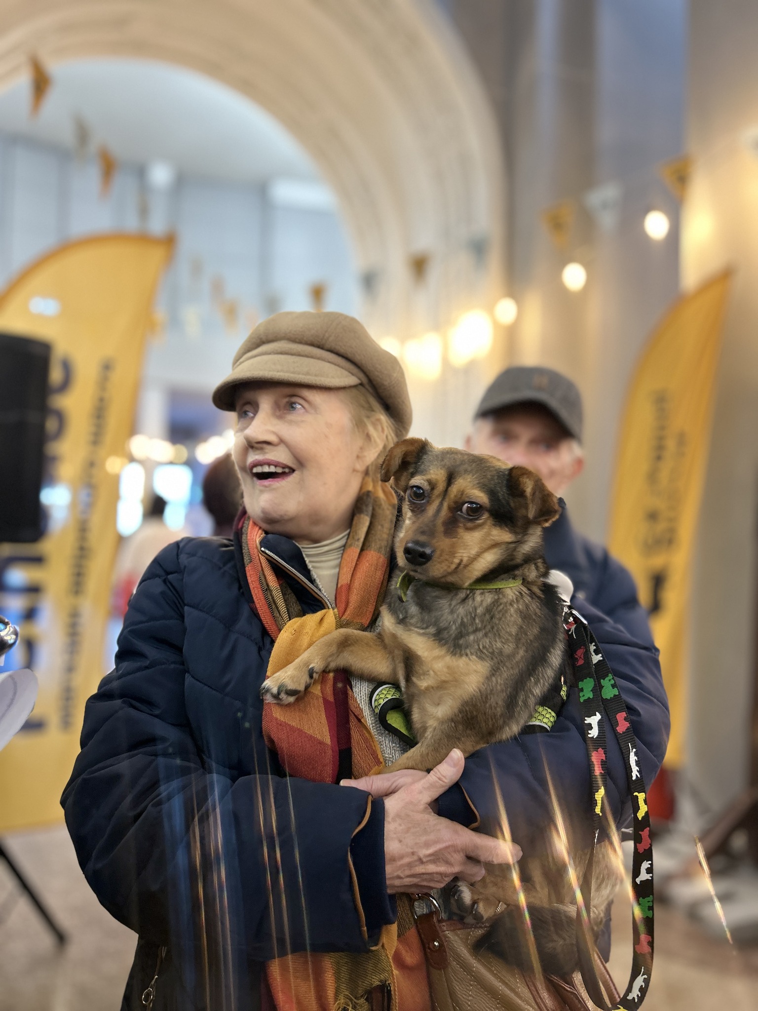 Майже півтори сотні безхатніх тварин знайшли петбатьків на фестивалі у Києві - фото 3