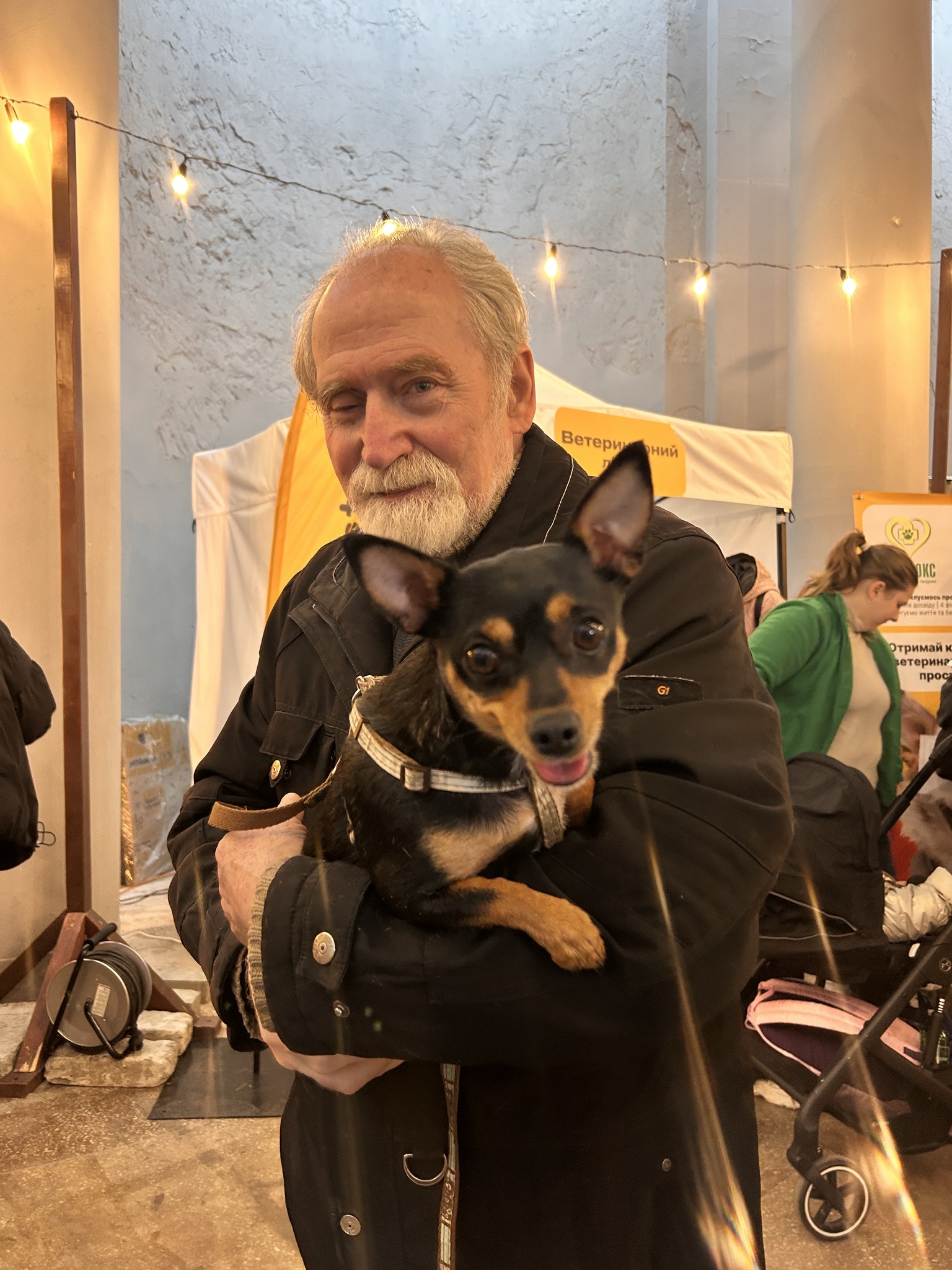 Майже півтори сотні безхатніх тварин знайшли петбатьків на фестивалі у Києві - фото 2