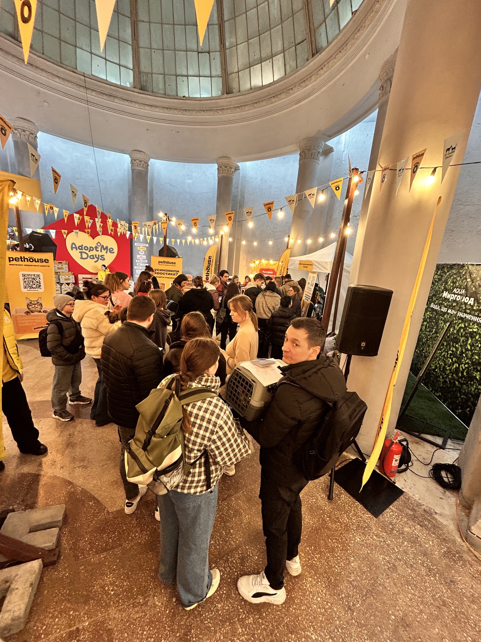 Майже півтори сотні безхатніх тварин знайшли петбатьків на фестивалі у Києві