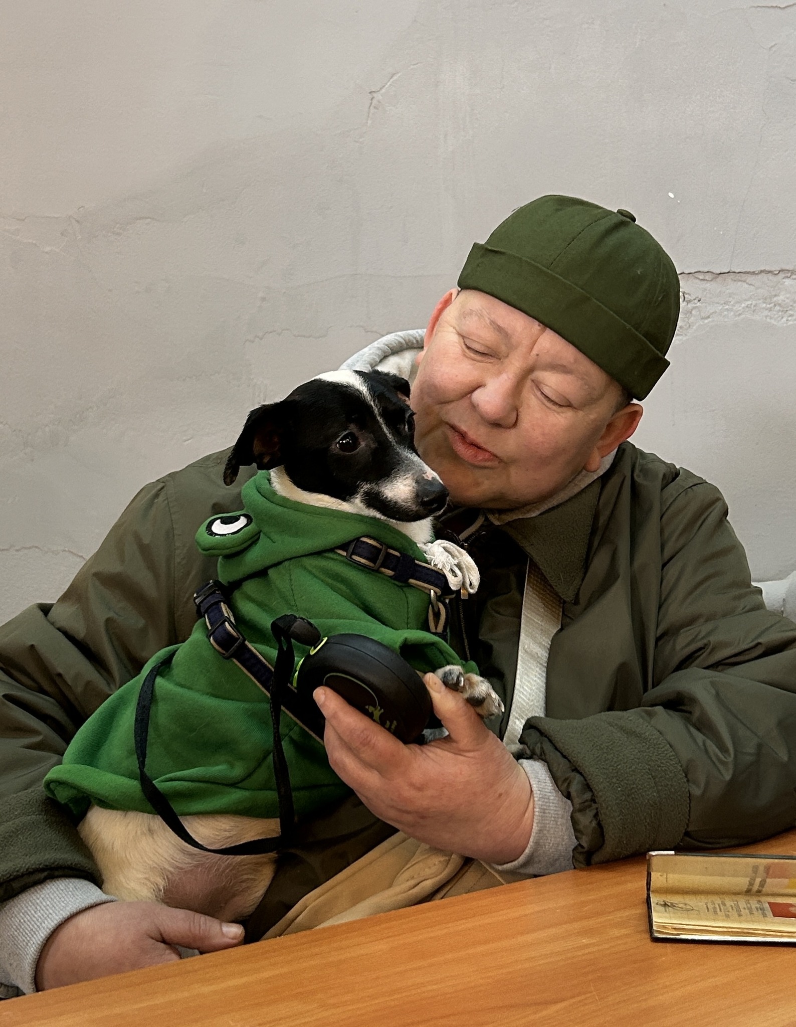 Майже півтори сотні безхатніх тварин знайшли петбатьків на фестивалі у Києві - фото 4