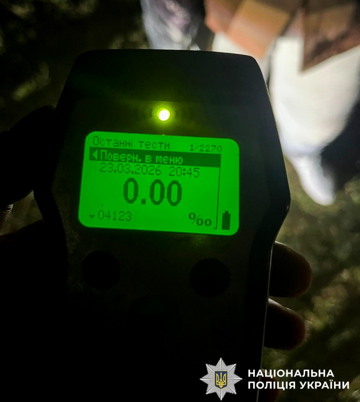 Розшукали жінку, яка за кермом Mercedes збила оленя Бориса - фото 2