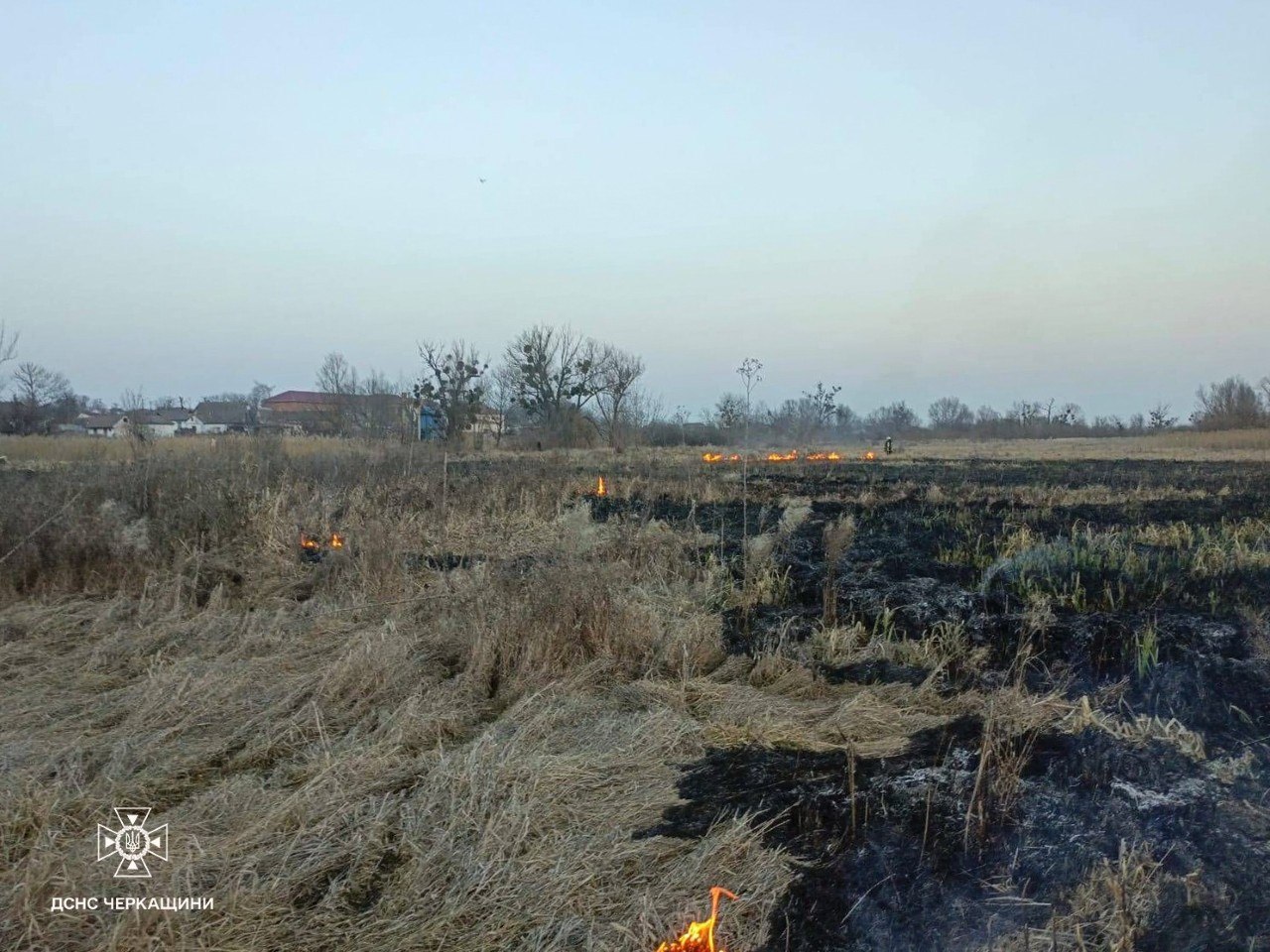У двох районах Черкащини горів сухостій