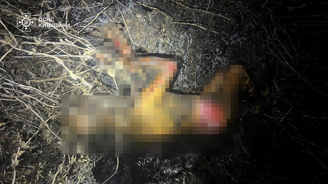 На Київщині під час випалювання сухостою загинув чоловік
