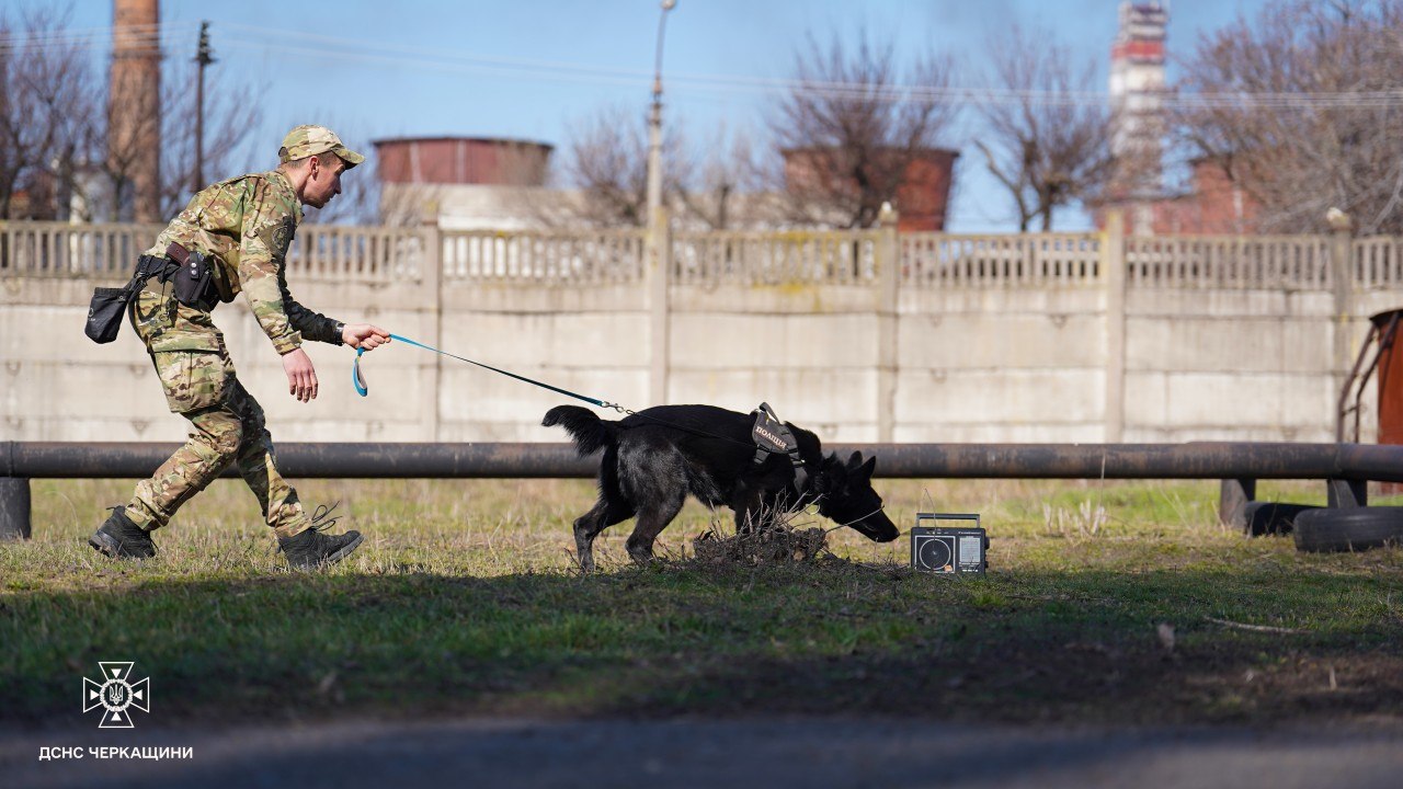 У Черкасах провели спільні навчання кінологів рятувальних служб - фото 2