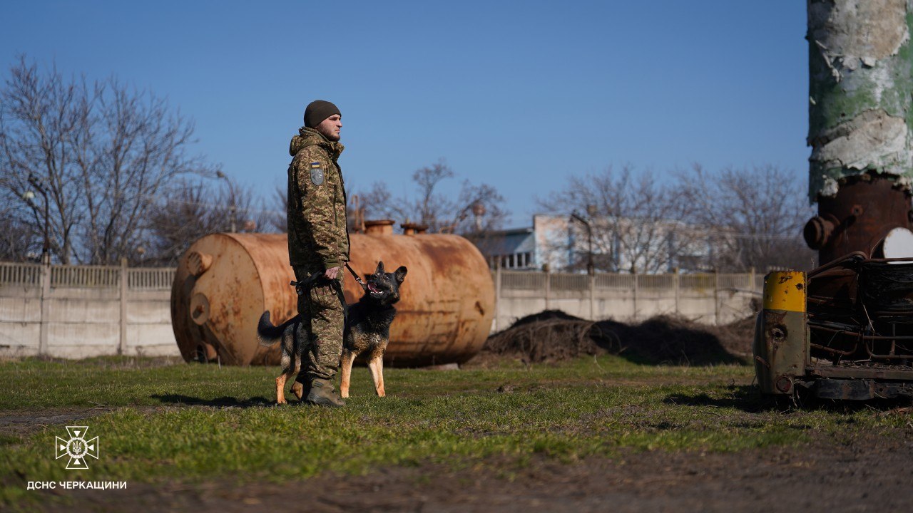 У Черкасах провели спільні навчання кінологів рятувальних служб - фото 4