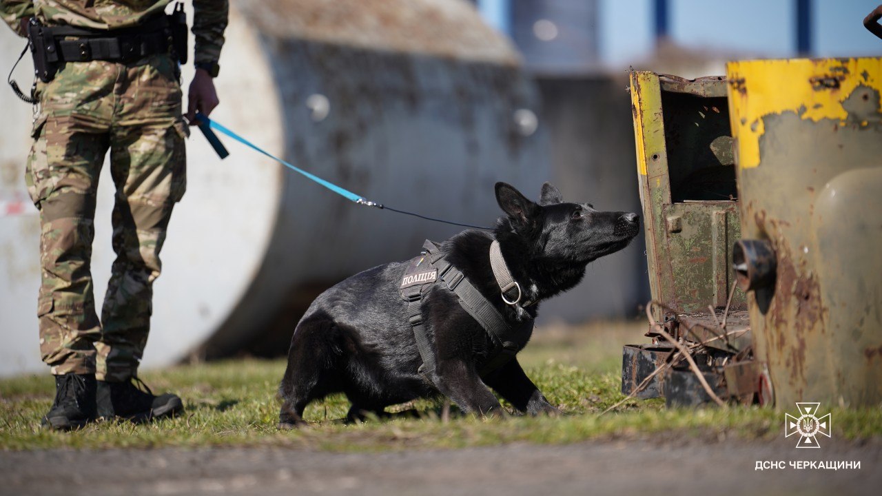 У Черкасах провели спільні навчання кінологів рятувальних служб - фото 3