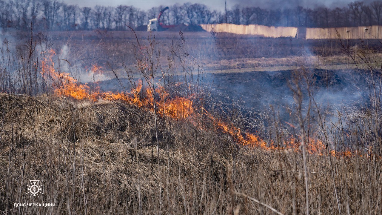 На Черкащині зафіксували 23 пожежі протягом доби - фото 2