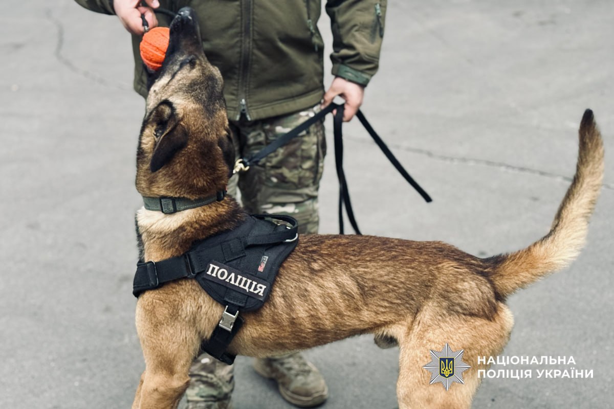 У Золотоноші школярам провели інтерактивний урок із безпеки та профорієнтації - фото 4