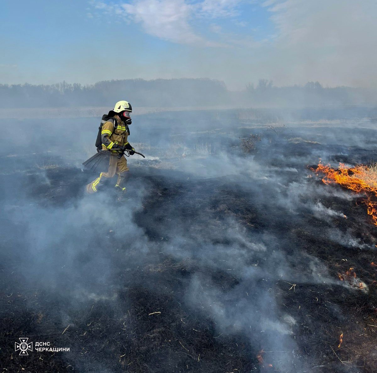 10 гектарів очерету і сухої рослинності згоріли на Черкащині