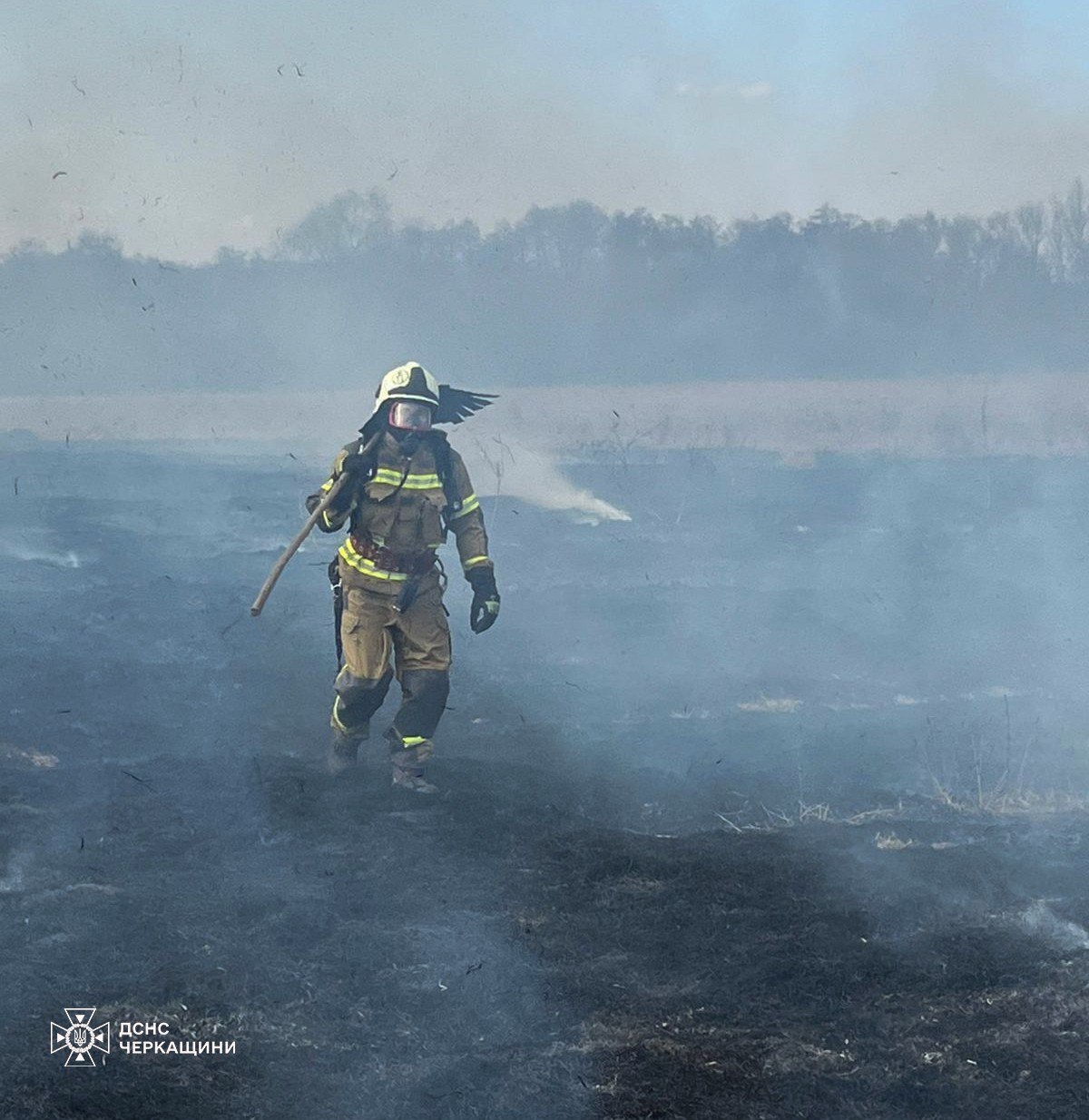 10 гектарів очерету і сухої рослинності згоріли на Черкащині - фото 2