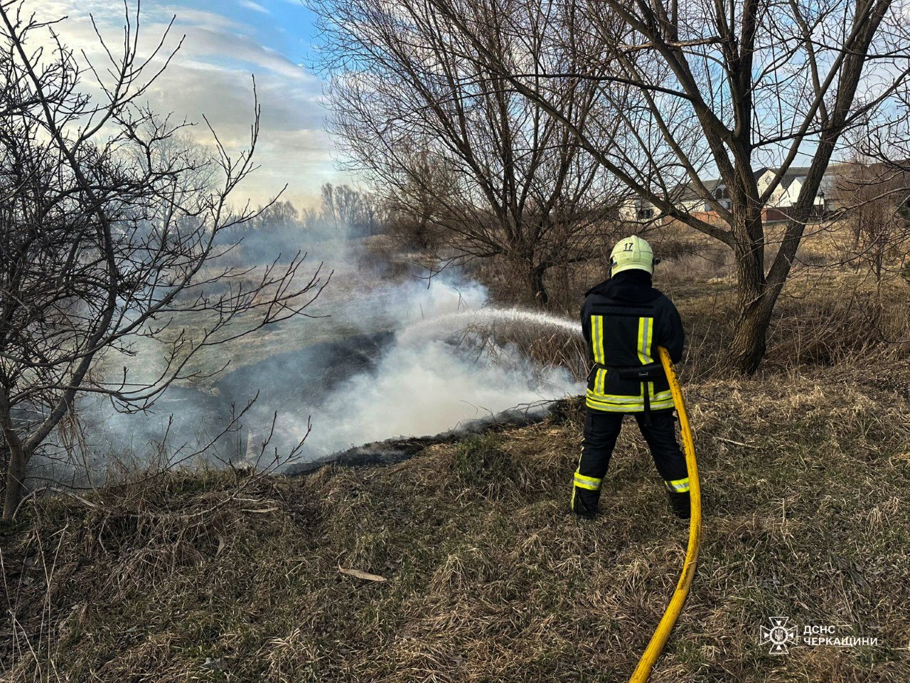 10 гектарів очерету і сухої рослинності згоріли на Черкащині - фото 4