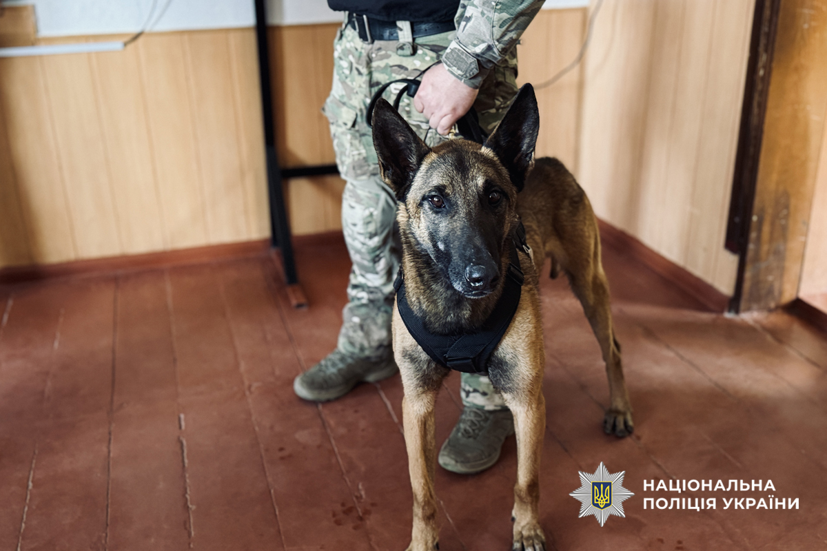 У ліцеї на Черкащині відпрацювали дії в разі надзвичайної ситуації. Фото - фото 3