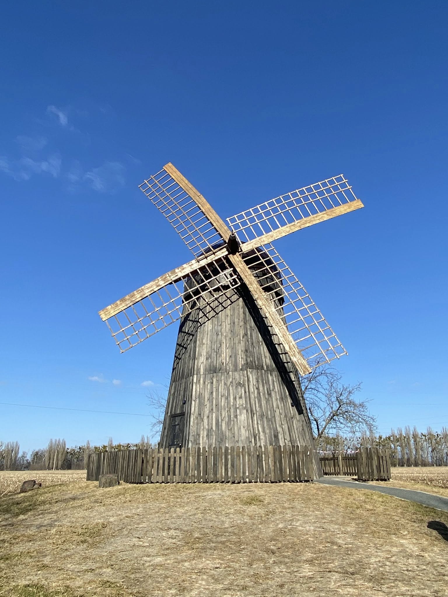 На Черкащині зберігся дерев’яний вітряк часів дитинства Тараса Шевченка - фото 2