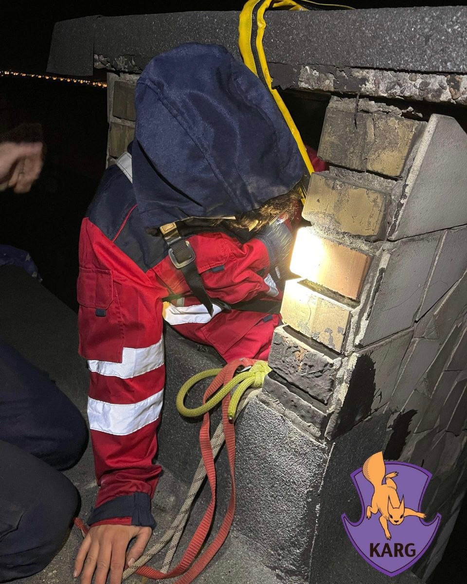 У столиці врятували кота, який застряг у вентиляційній шахті - фото 4