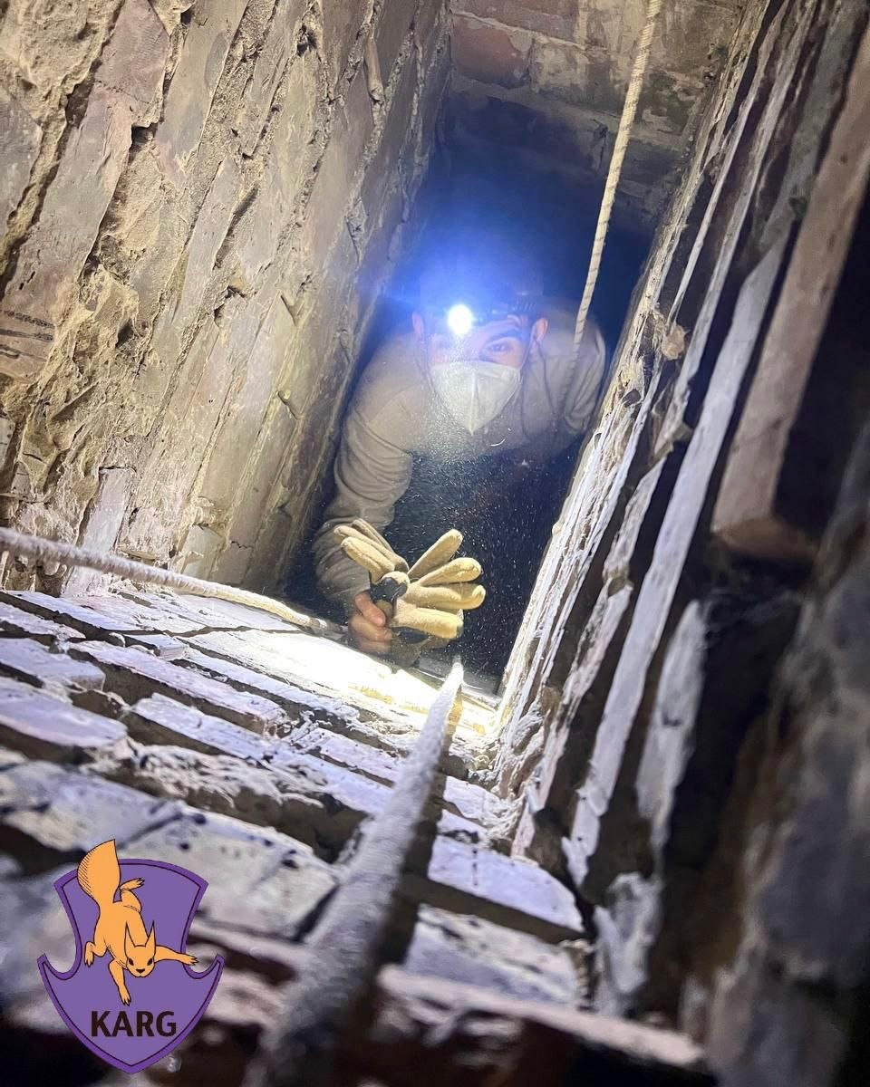 У столиці врятували кота, який застряг у вентиляційній шахті - фото 6