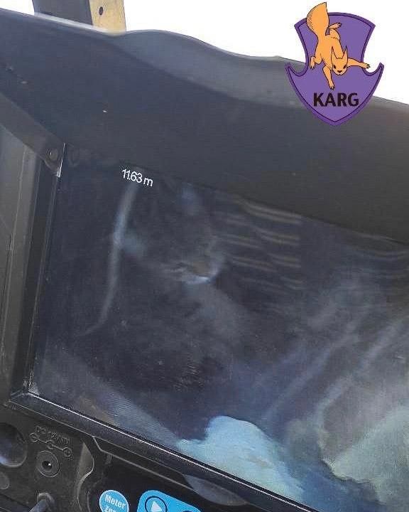 У столиці врятували кота, який застряг у вентиляційній шахті - фото 5