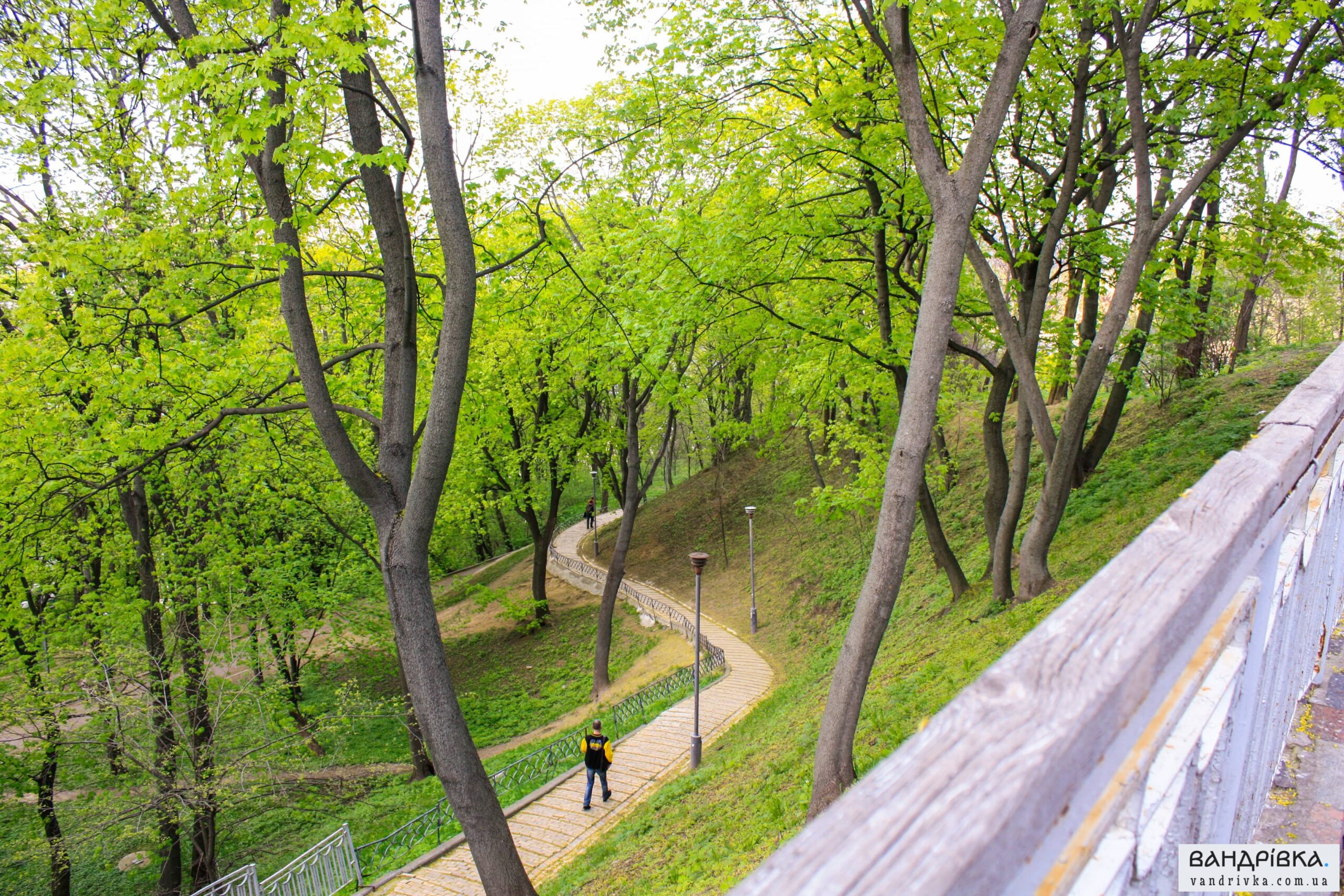 Володимирська гірка у Києві: парк із найкращими панорамами міста - фото 5