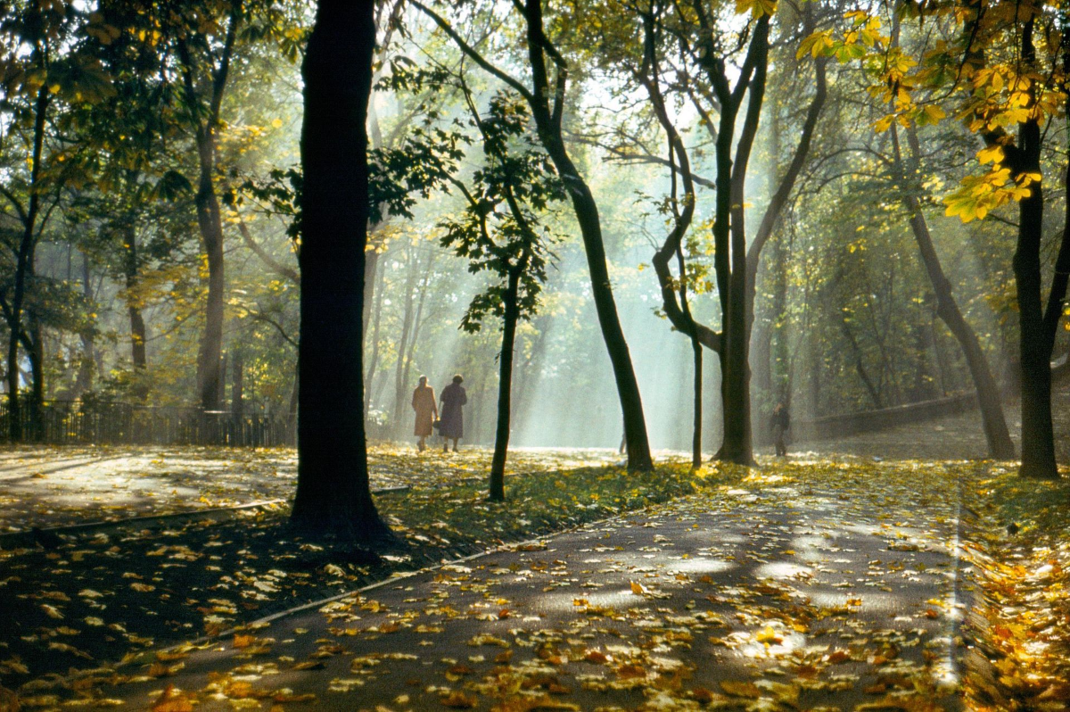 Володимирська гірка у Києві: парк із найкращими панорамами міста - фото 3