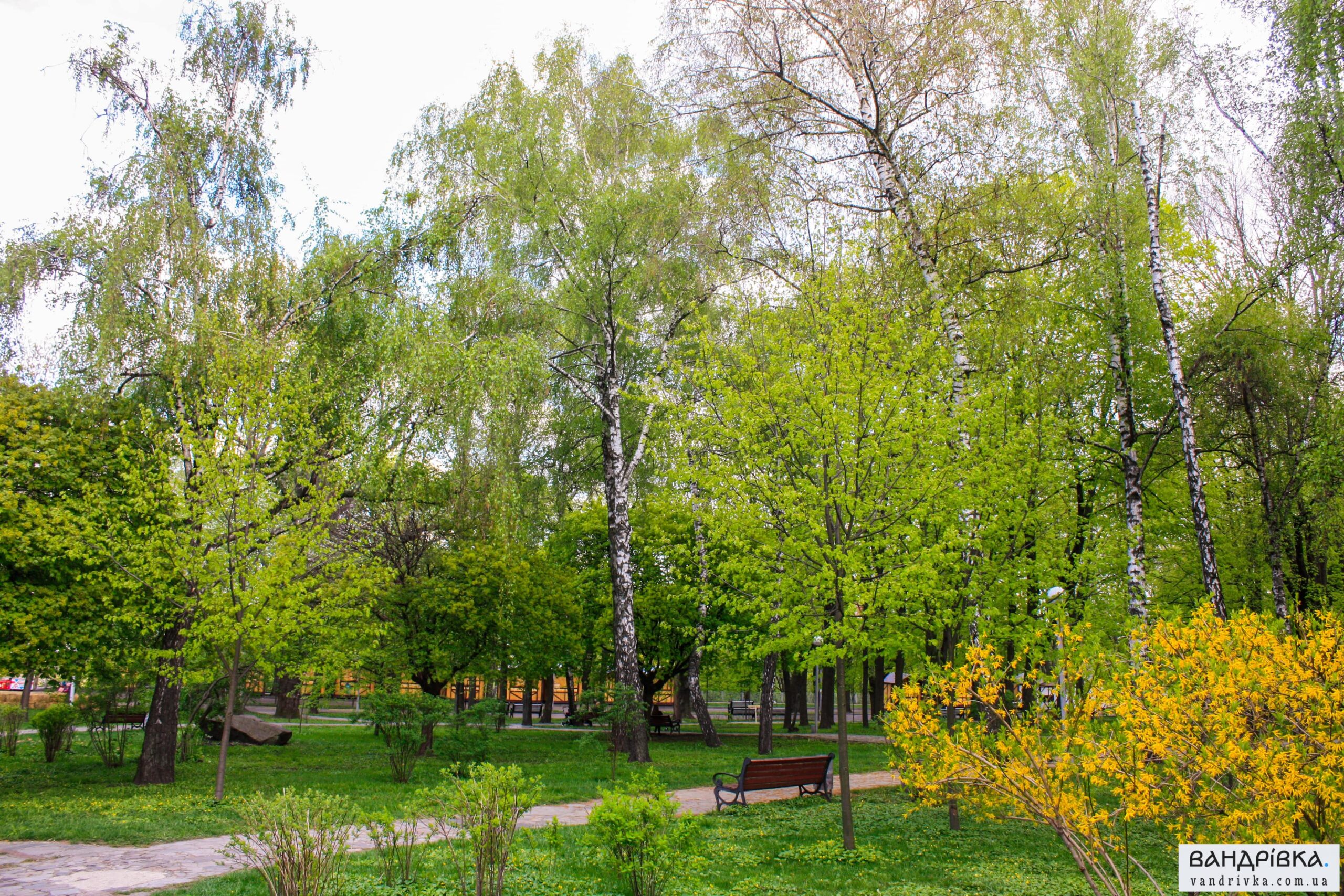 Володимирська гірка у Києві: парк із найкращими панорамами міста - фото 12