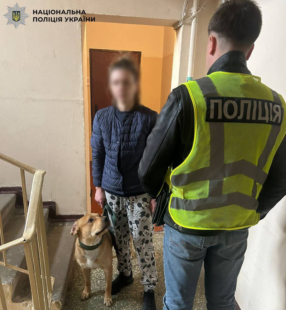 Била собаку повідцем: поліцейські Києва притягнули до відповідальності місцеву мешканку