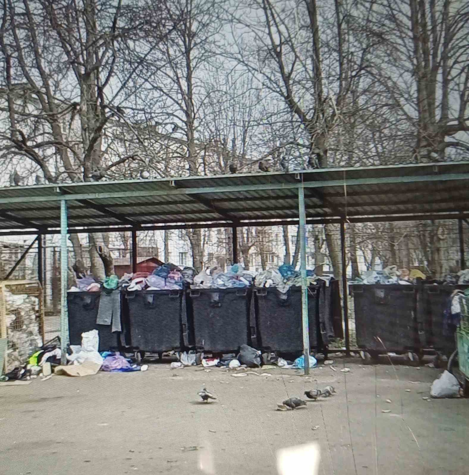 Купи сміття виявили у дворах черкаських будинків. Фото