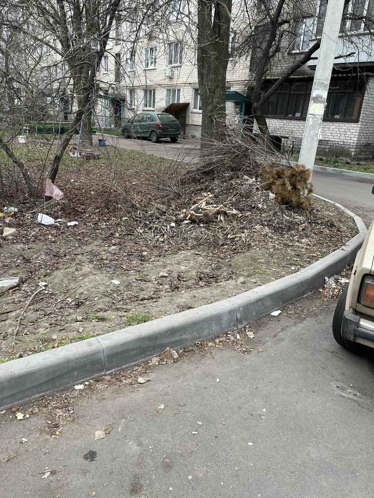 Купи сміття виявили у дворах черкаських будинків. Фото - фото 7