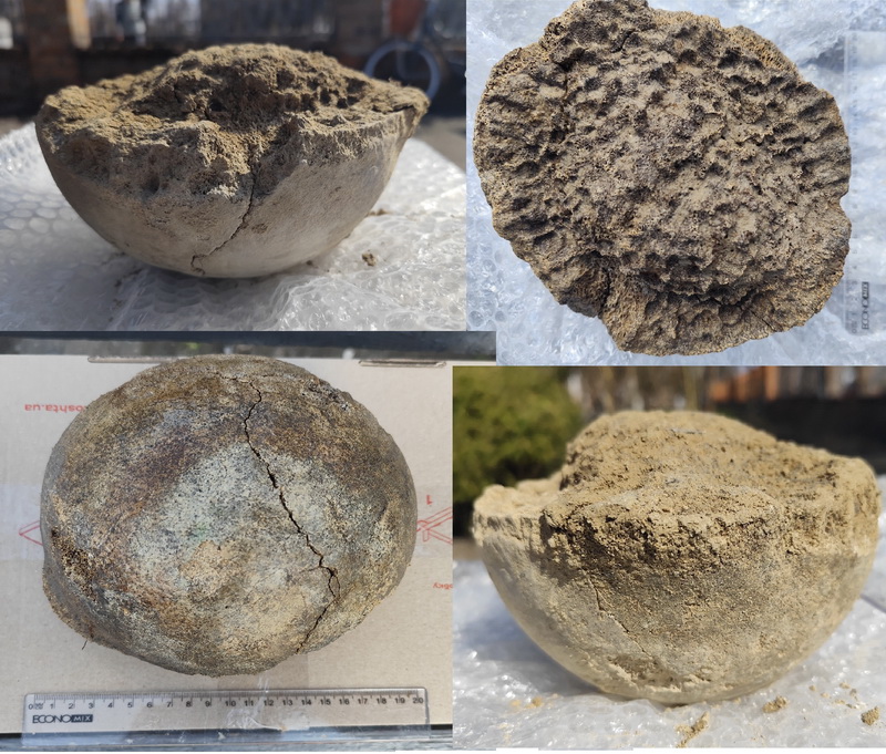 У Переяславі знайшли кістки мамонта віком 25 000 років