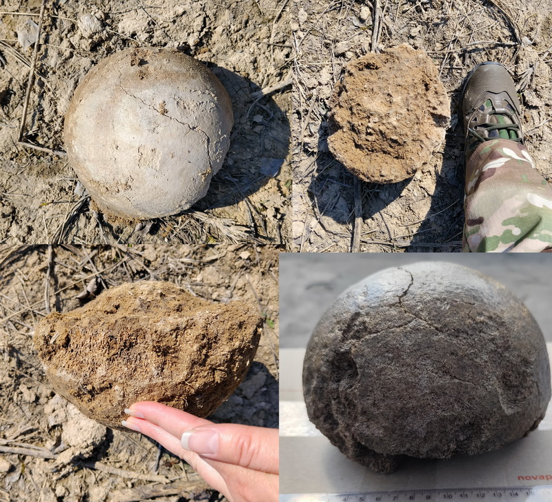 У Переяславі знайшли кістки мамонта віком 25 000 років - фото 2