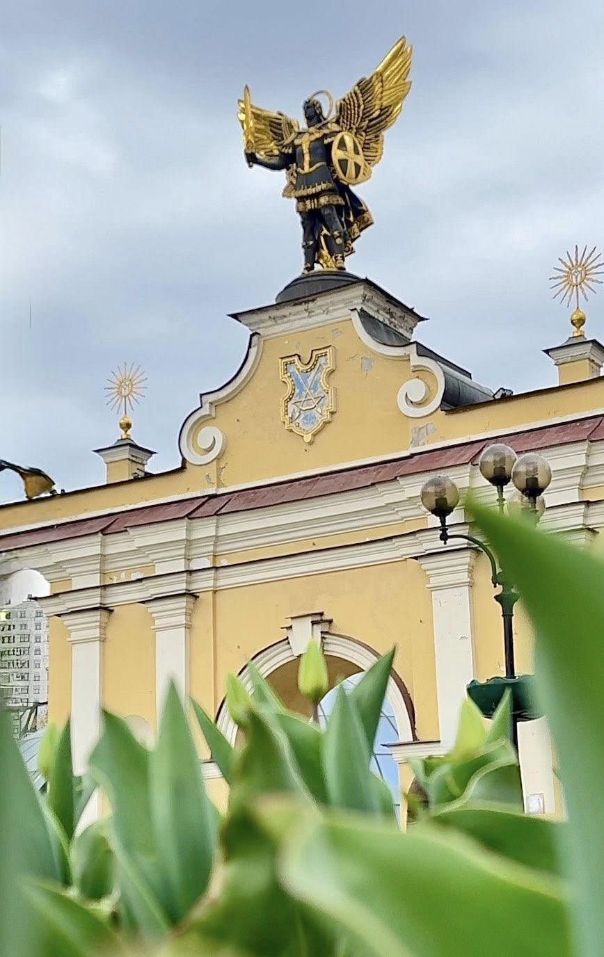 На Майдані Незалежності розквітають перші тюльпани - фото 2