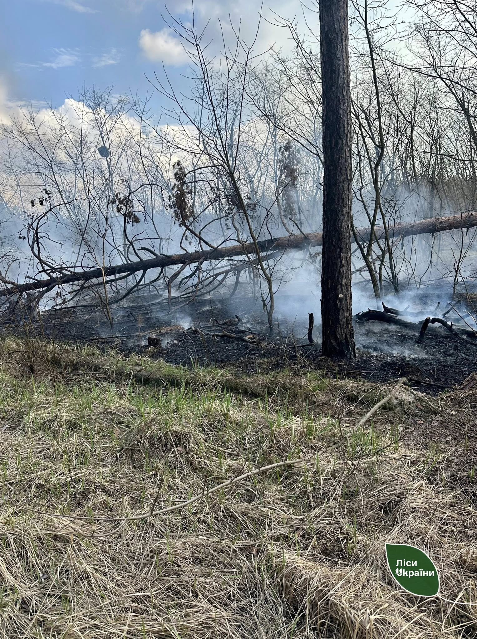 Пожежі виникли у лісах Черкащини під час російського обстрілу
