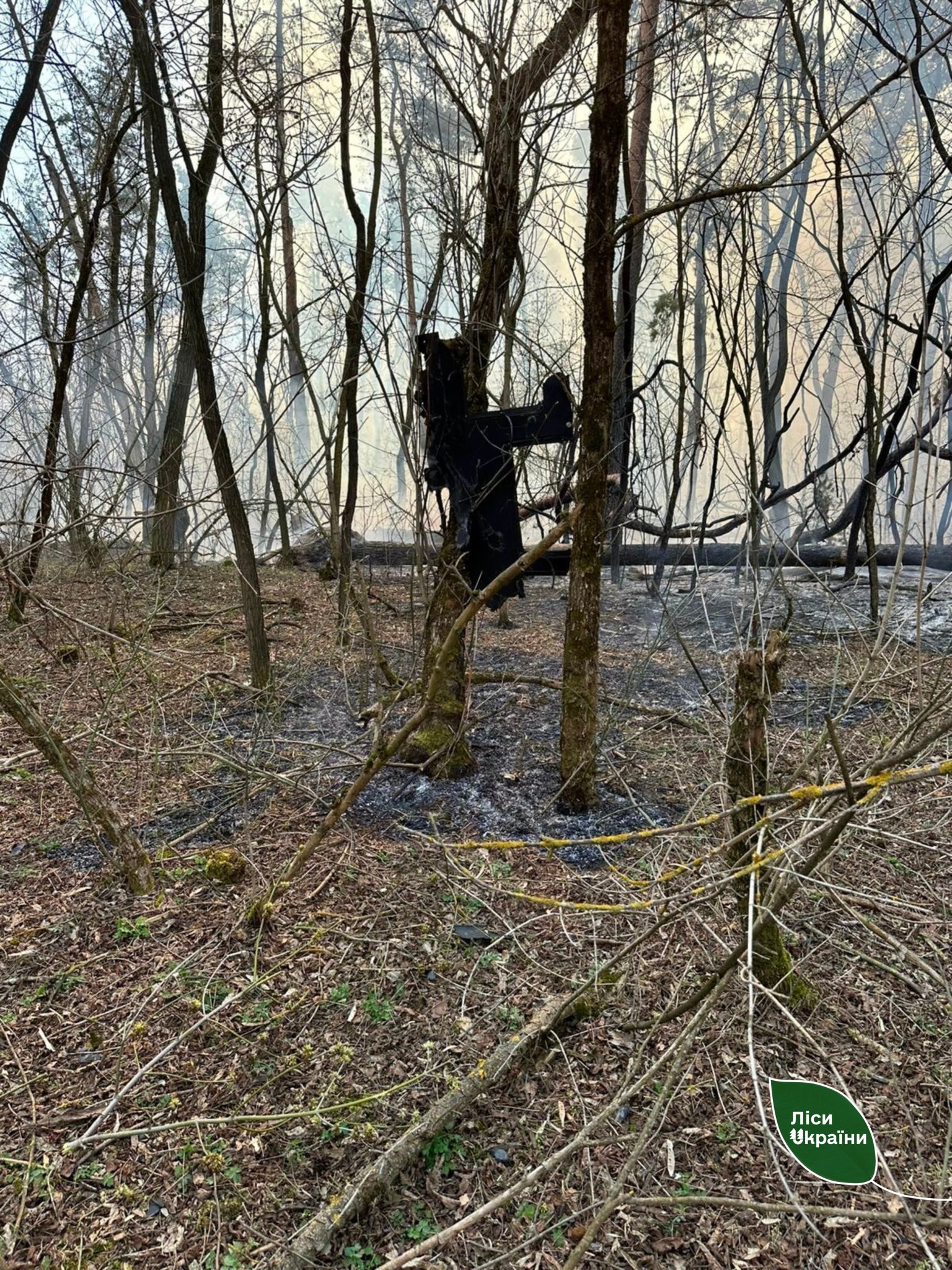 Пожежі виникли у лісах Черкащини під час російського обстрілу - фото 2