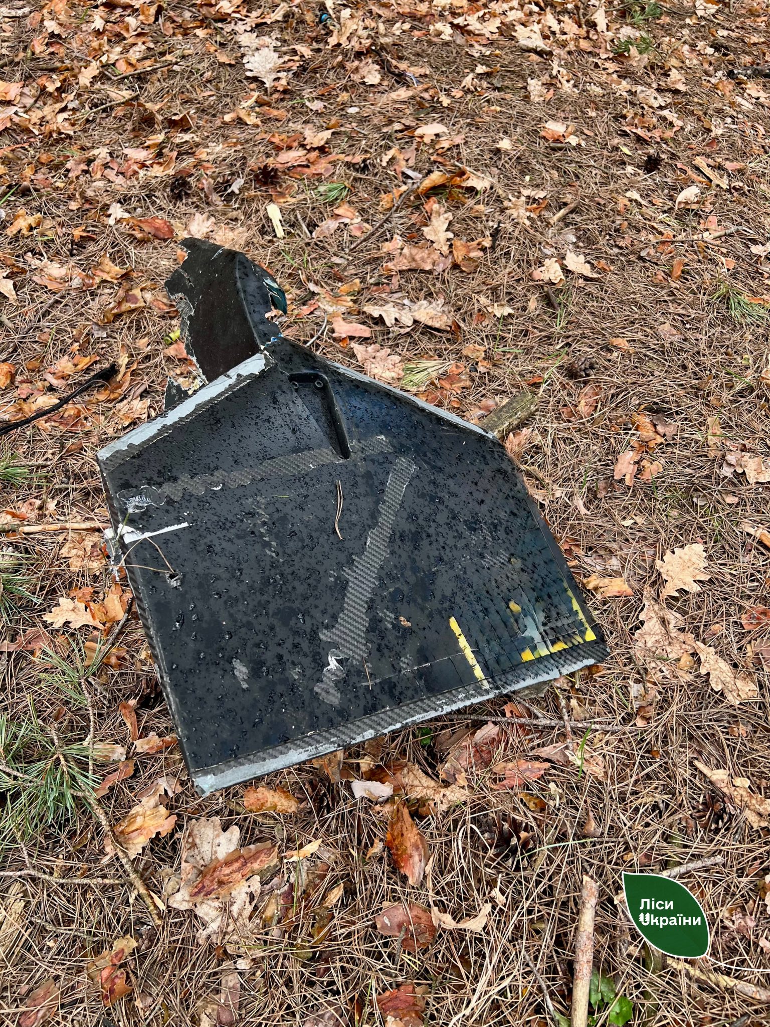 Пожежі виникли у лісах Черкащини під час російського обстрілу - фото 3