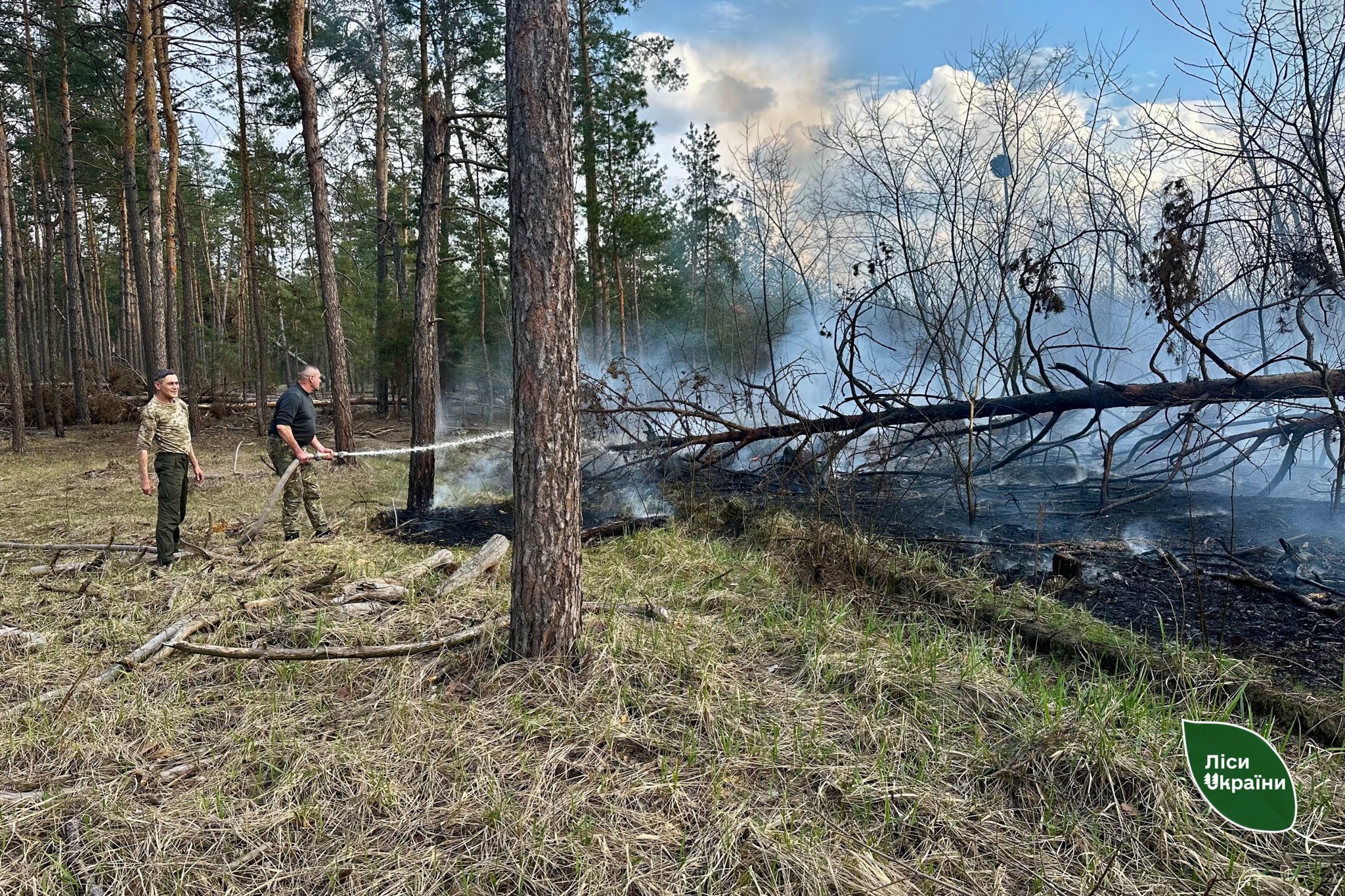 Пожежі виникли у лісах Черкащини під час російського обстрілу - фото 4