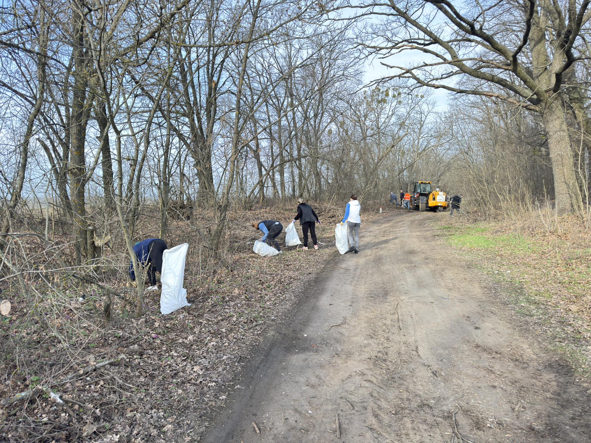 Весняну толоку провели у Кам’янці на Черкащині - фото 2