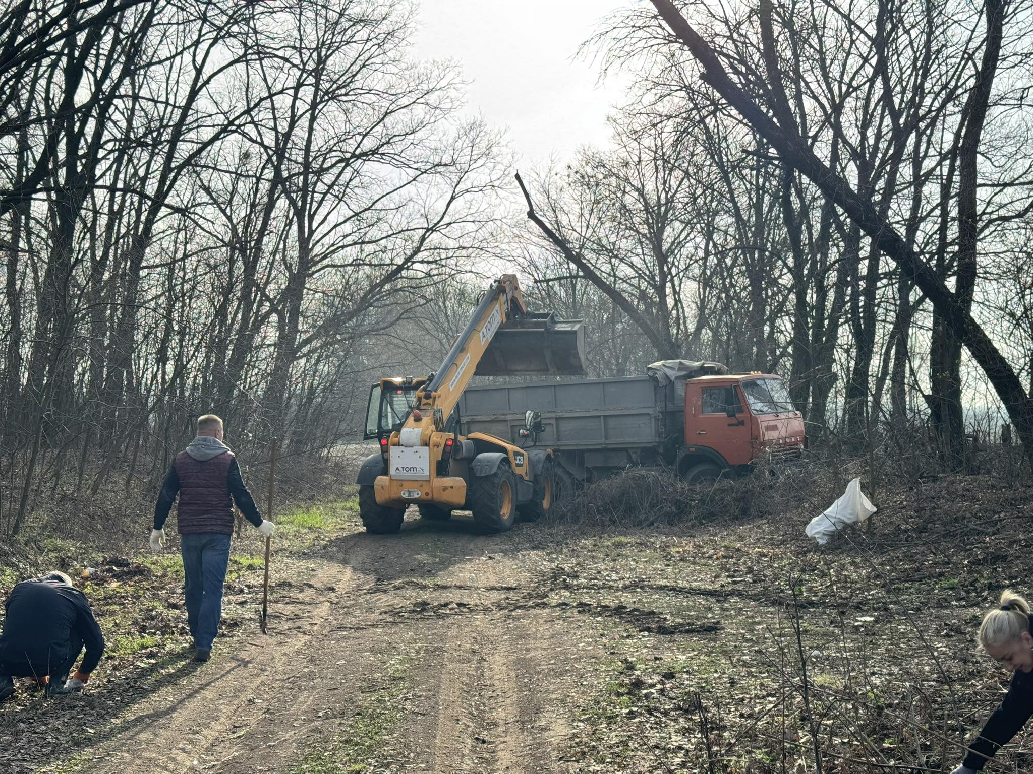 Весняну толоку провели у Кам’янці на Черкащині - фото 3