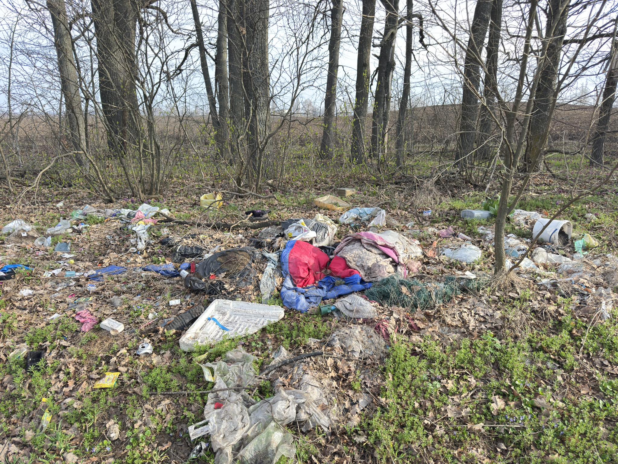 Весняну толоку провели у Кам’янці на Черкащині - фото 4