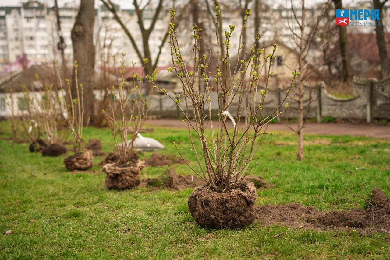 У Черкасах відбувся День благоустрою: до прибирання долучилися сотні містян - фото 3