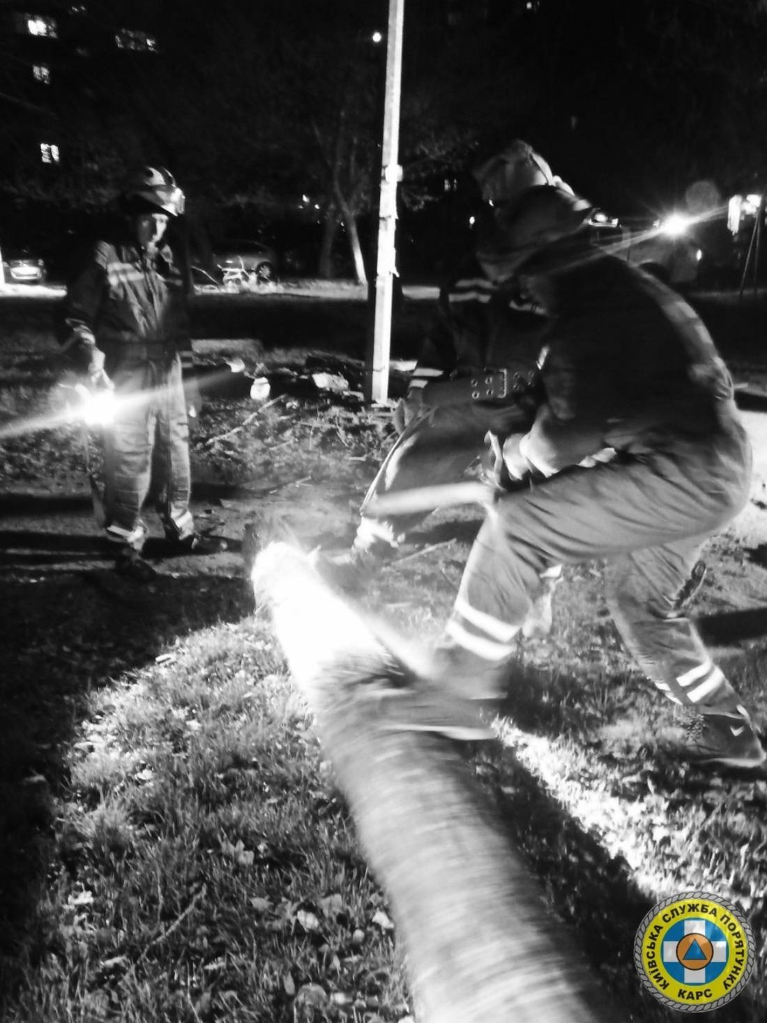 Рятувальники КАРС ліквідовують наслідки негоди у столиці - фото 9