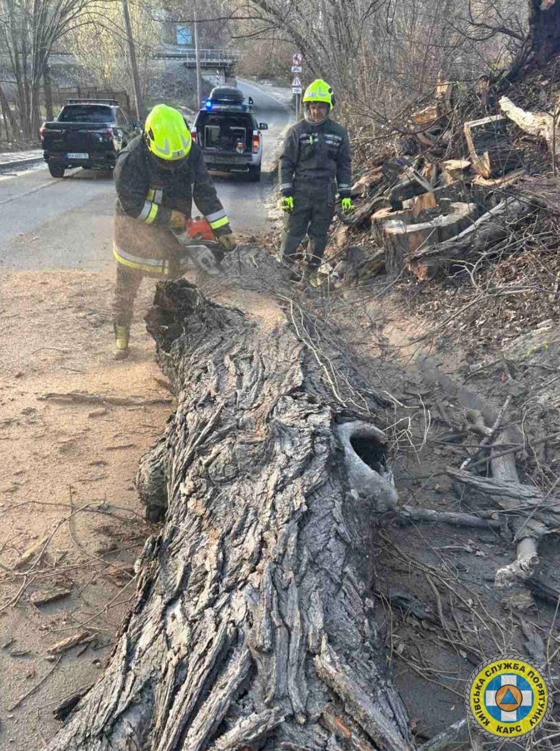 Рятувальники КАРС ліквідовують наслідки негоди у столиці - фото 3