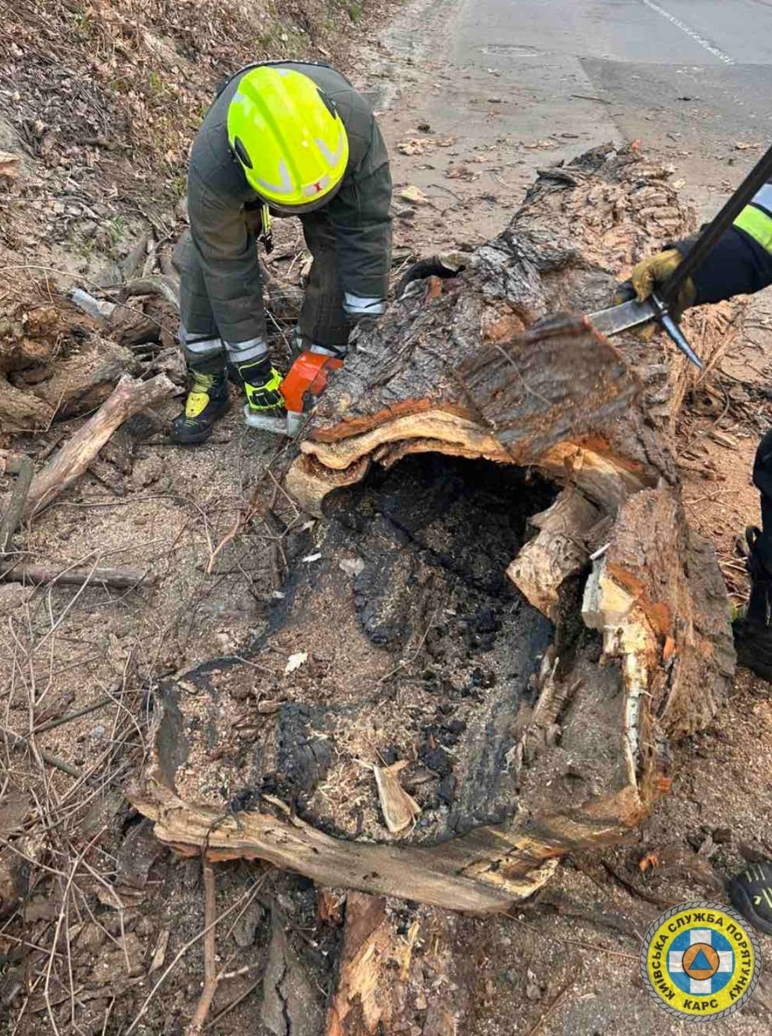 Рятувальники КАРС ліквідовують наслідки негоди у столиці - фото 5