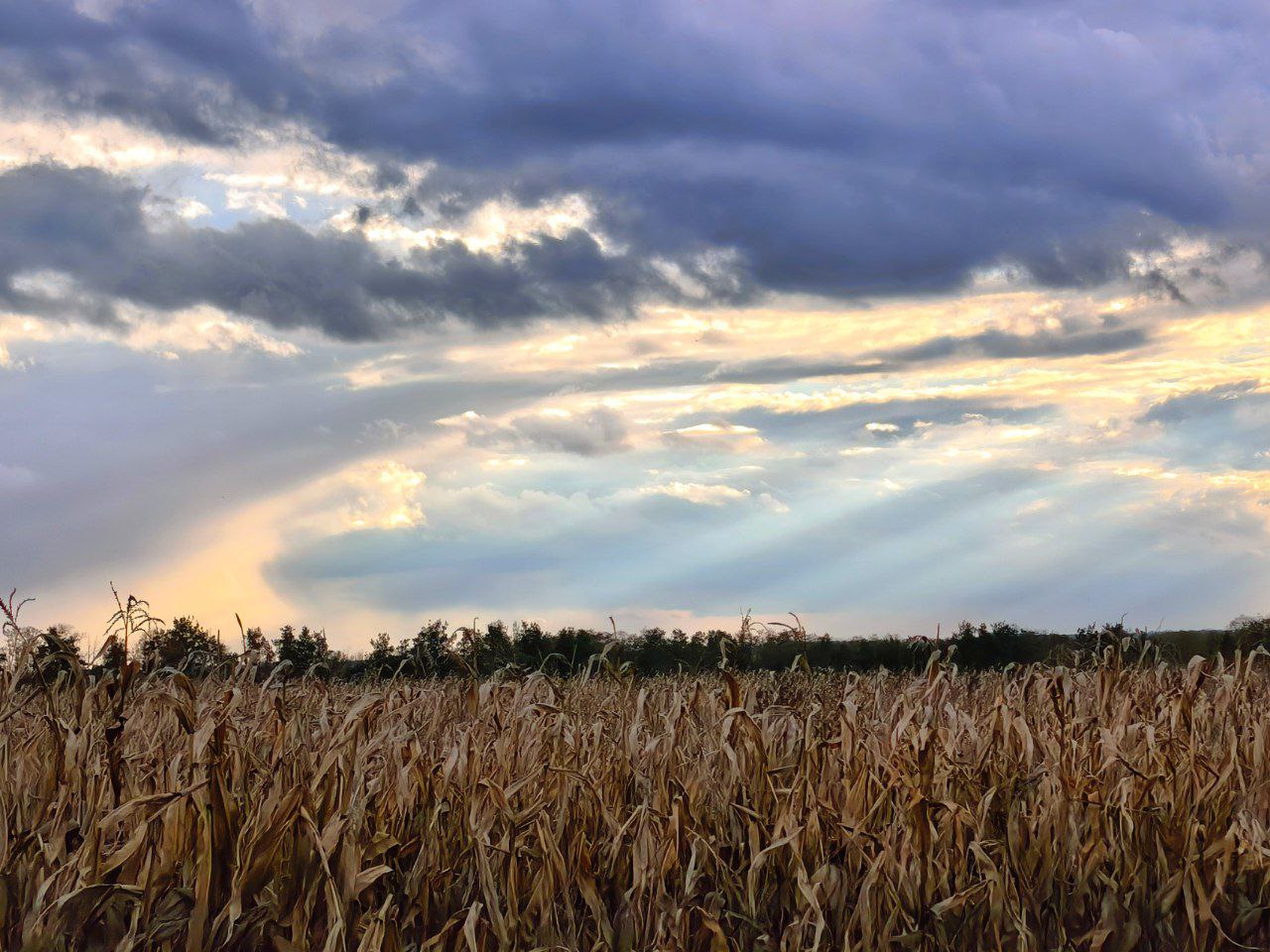 Артем Турчинік пішки мандрує Черкащиною, щоб зробити вражаючі фото природи. Дивіться світлини - фото 4