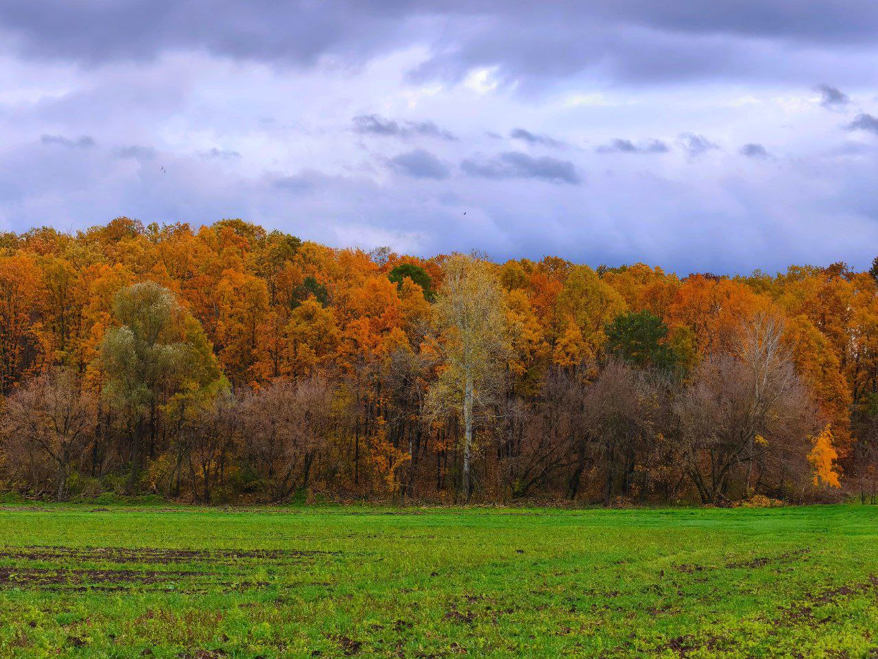 Артем Турчинік пішки мандрує Черкащиною, щоб зробити вражаючі фото природи. Дивіться світлини - фото 5