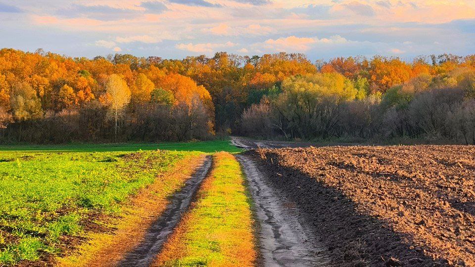 Артем Турчинік пішки мандрує Черкащиною, щоб зробити вражаючі фото природи. Дивіться світлини - фото 6
