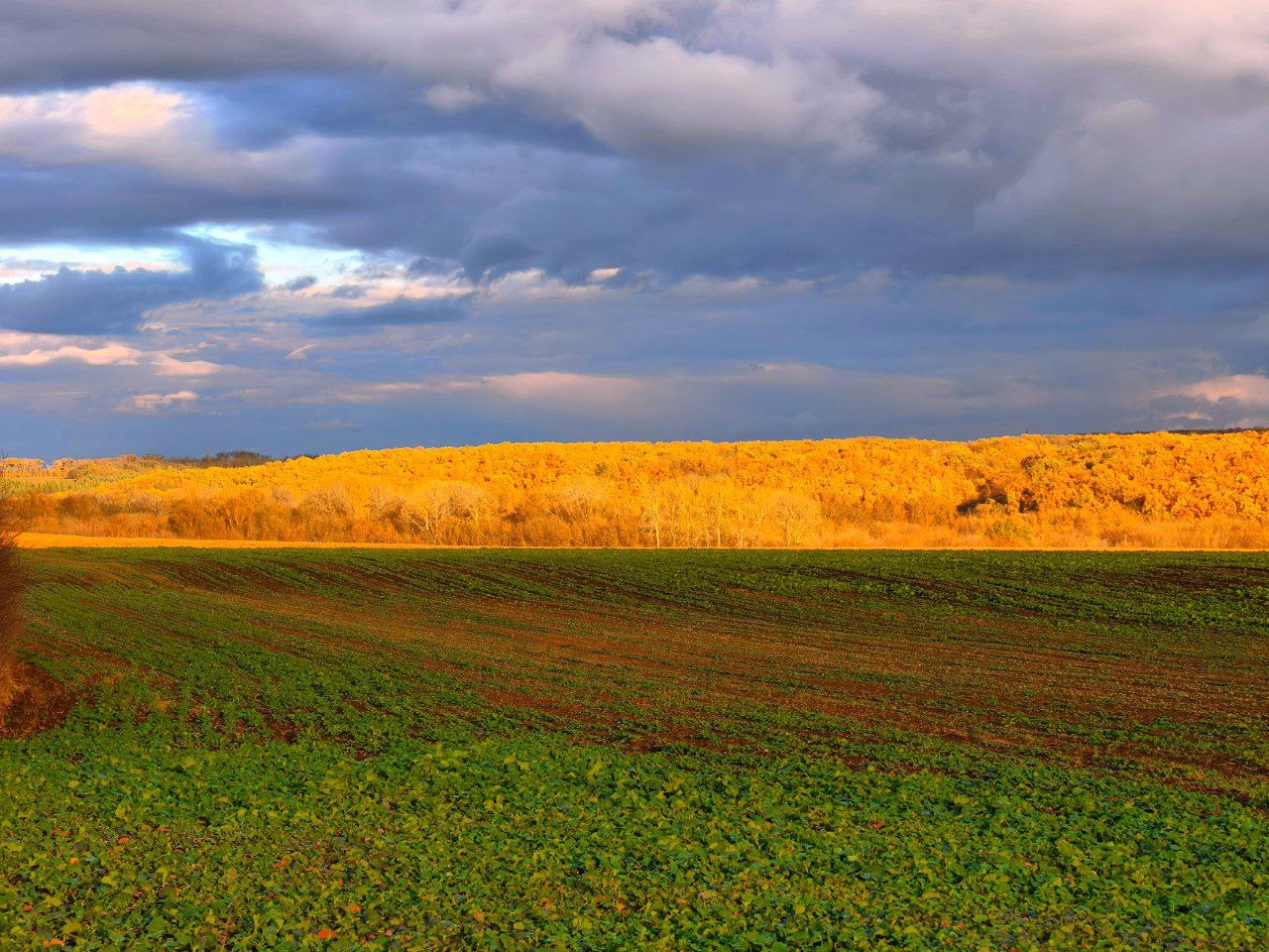 Артем Турчинік пішки мандрує Черкащиною, щоб зробити вражаючі фото природи. Дивіться світлини - фото 7